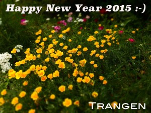 Happy New Year 2015